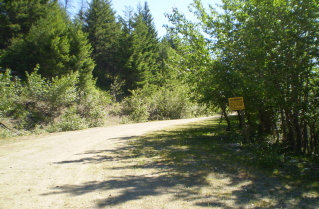 Entrance to logging road to Sheep Rock & Brent Mtn apprx 4 KM up Apex Mtn Road 2010-07.